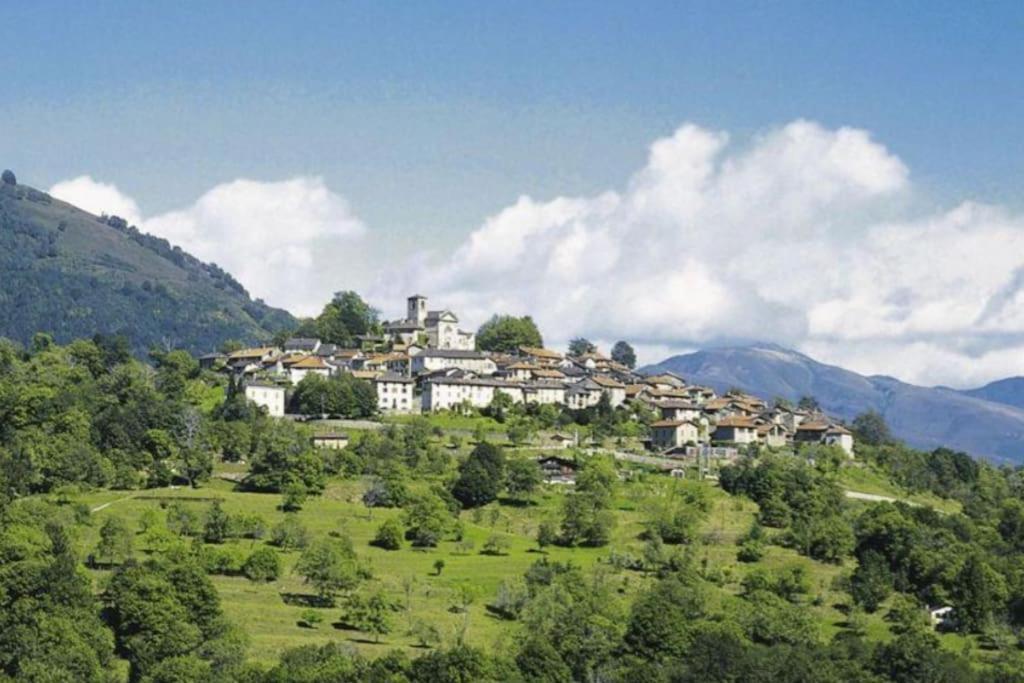 Court Apartamento